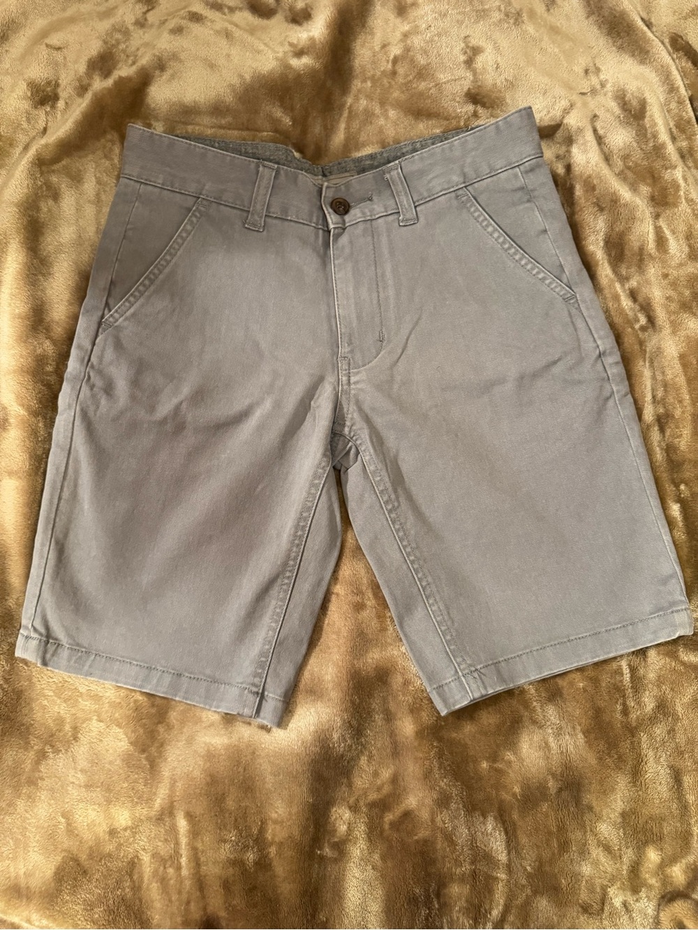 Young Men's Flat Front Gray Cotton Shorts - Casual Everyday Chino